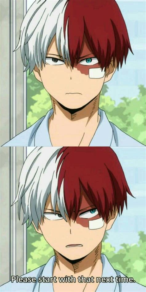 Boku No Hero Academia Todoroki Shouto Mha My Hero Academia