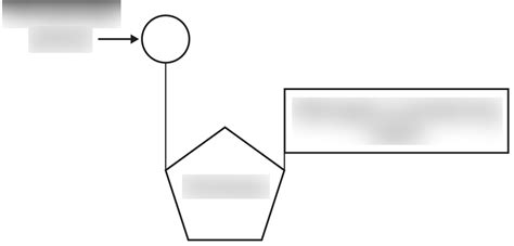 Diagram of Biology-Nucleotide | Quizlet 