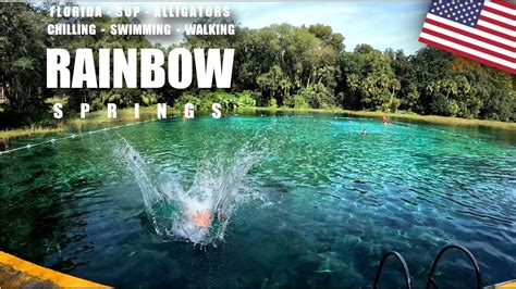 Rainbow Springs Florida Alligators Swimming Sup Walking 4k Virtual Walking Youtube