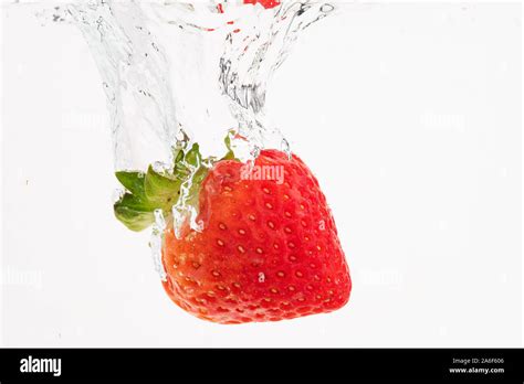 Fresh Strawberry Dropped Into Crystal Clear Water With Splash Isolated