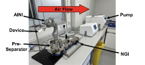 Sdd Particle Size And Deposition In The Nose And Lung