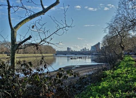 Looking Down The Thames To Putney Bridge © Neil Theasby Cc By Sa20