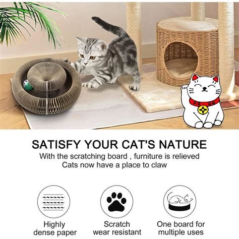 Tableau Gratter Pour Chat Magic Organ Cat Scratching Board Griffoir