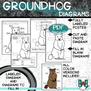 Parts of a Groundhog Diagram Poster and Student Pages by Backwoods Barn ...