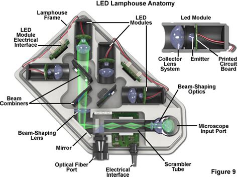 Collimated Led Light Sources For Microscopy Shelly Lighting