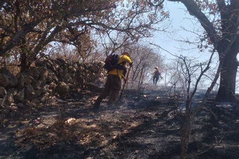 Incendio Forestal Afecta 565 Hectáreas En Zapopan