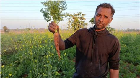 Pm Kisan कहीं गलत कागजात लगाकर आप भी तो नहीं उठा रहे पीएम किसान का