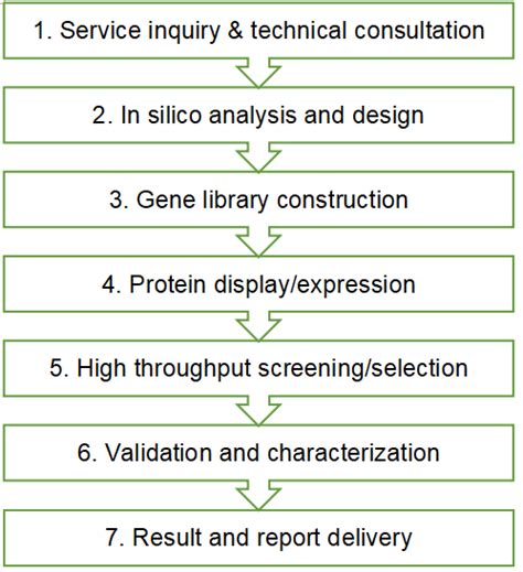 Protein Engineering Services - Creative BioMart