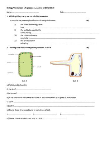 Worksheet Life Processes And Cells Edexcel Igcse Biology Teaching