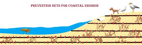 Prevention Nets for Coastal Erosion - Emerging Innovators Research Publications