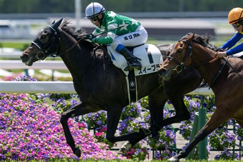 【京都3r】田口貫太騎乗、スイープランが最内から抜け出す 競馬ニュースなら競馬のおはなし