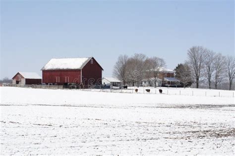 Midwest Farm in Winter stock photo. Image of rural, country - 4722272