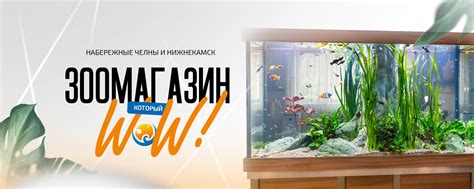 АкваДом / Зоомагазин / Аквариумы / Челны 2024 | ВКонтакте