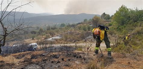 Medio Ambiente Analiza Las Características De La Zona Del Incendio De