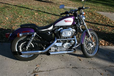 2001 Harley Davidson® Xl1200c Sportster® 1200 Custom Silverpurple