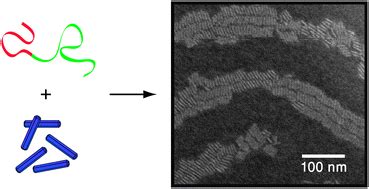 Co Assembly Of Block Copolymers And Nanorods In Ultrathin Films