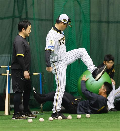 【キャンプ写真特集】危ないっ！ 紅白戦で交錯など各球団ハッスル／撮るキャン！ プロ野球ライブ速報写真ニュース 日刊スポーツ