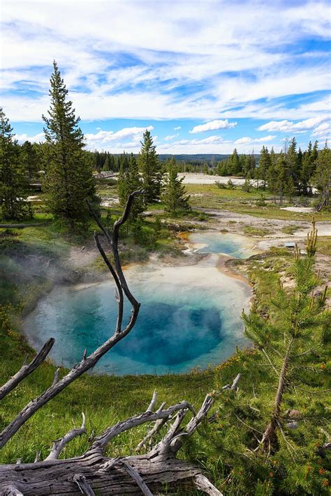 Expose Nature: Yellowstone National Park - Wyoming [OC] [1365 x 2048]