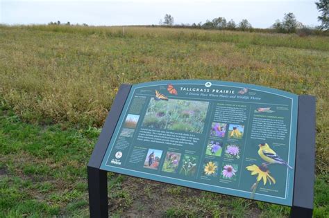 The Largest Exposed Glacier Erratic In Iowa Is In Waldos Rock Park