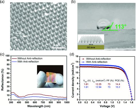 A Angular‐view Sem Image Of The Ar Layer With Nanocone Array B Download Scientific Diagram