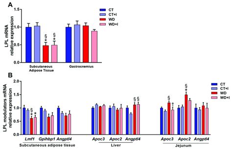 Lpl Mrna Expression In The Muscle And Subcutaneous Adipose Tissue A