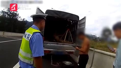 高速上汽车抛锚，眼看“吉时”来不及，警车秒变“婚车”送新人花边趣闻汽车视频新浪新闻