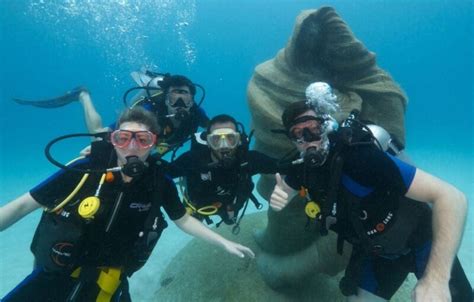 Discover Scuba Diving Dives Playa Del Carmen Project Expedition