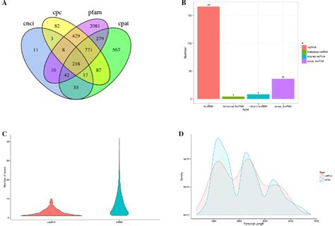Identification of lncRNAs. a Venn diagram of lncRNAs predicted by CNCI ... 