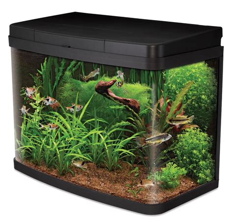 Aquarium Png Transparent Images Pictures Photos