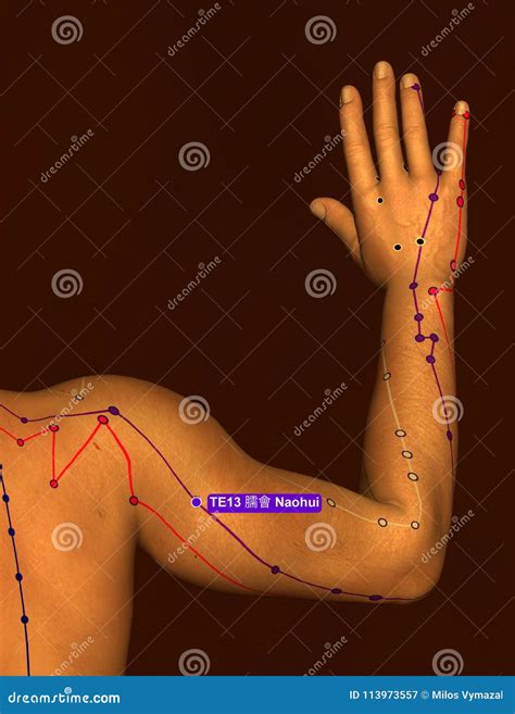 Acupuncture Point Te13 Naohui 3d Illustration Brown Background Stock