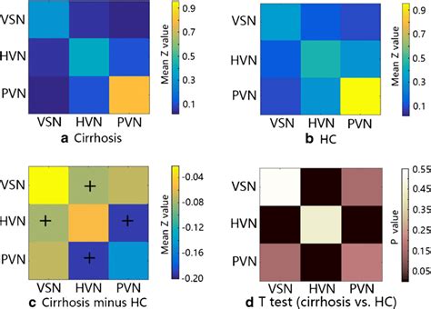 Vision Related Networks Average Functional Connectivity Matrices