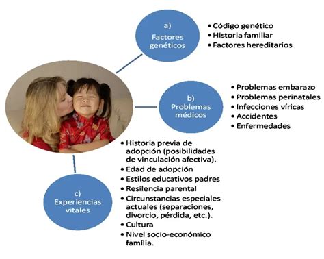 Abordaje psicológico de la adopción proceso y importancia Colegio de