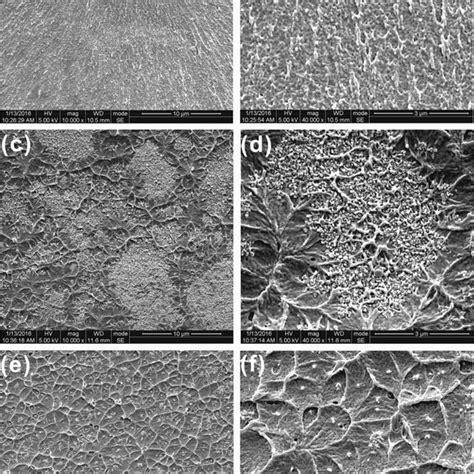 SEM Images Of Cryo Fractured Surface Of The Nanocomposites Containing