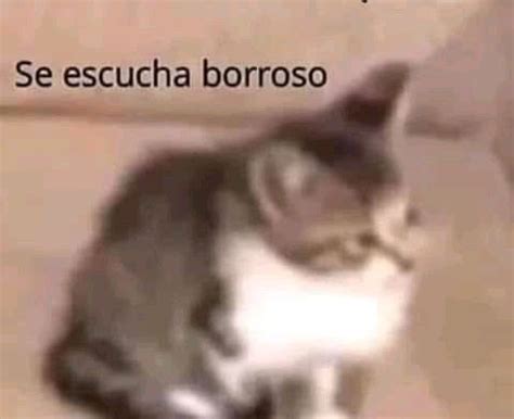 Se Escucha Borroso Cute Memes Spanish Memes Dankest Memes