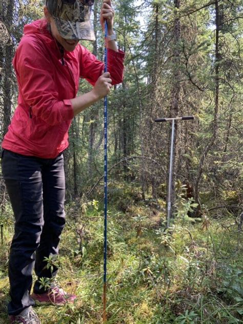 A Day In The Field At The Wetland Centre With DUC Staff Boreal