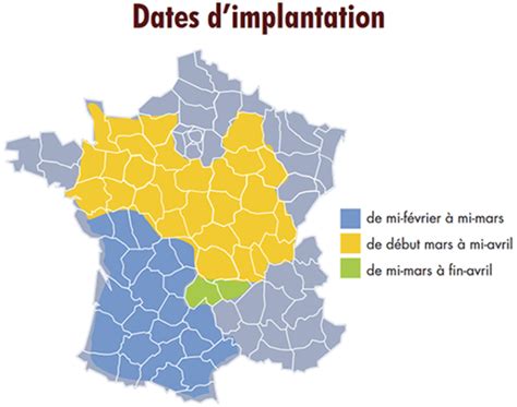 Comment Assurer La Bonne Implantation De La Lentille Journal Paysan