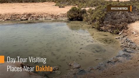 Day Tour Visiting Places Near Dakhla | While in Africa