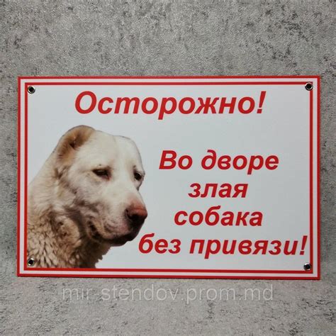 Табличка Осторожно, во дворе злая собака без привязи (Алабай) (ID ...