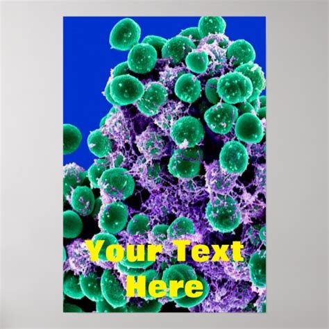 Biology Microbiology Abstract Art Poster Canvas Zazzle