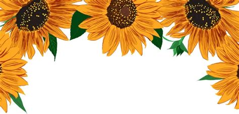 15,896,324 Sunflower clipart Vector Images | Depositphotos