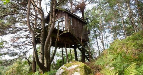 25 Best Treehouse Hotels & Rentals