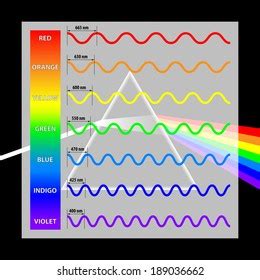 Wavelength Colors Spectrum Stock Vector (Royalty Free) 189036662 ...