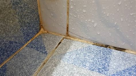 How To Clean Orange Grout Stains In Your Shower Maid Match