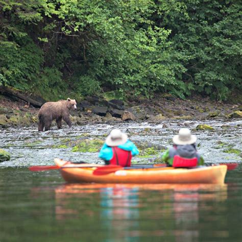 Uncruise Alaska Review Go Wild On An Alaska Adventure Cruise Sand In