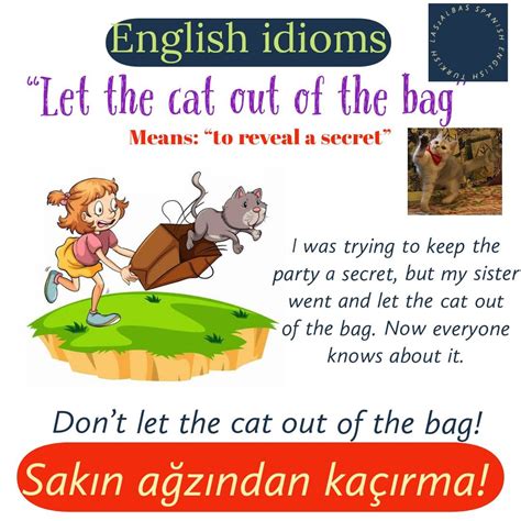 Don T Let The Cat Out Of The Bag Ingilizce Deyimler Deyimler Ingilizce