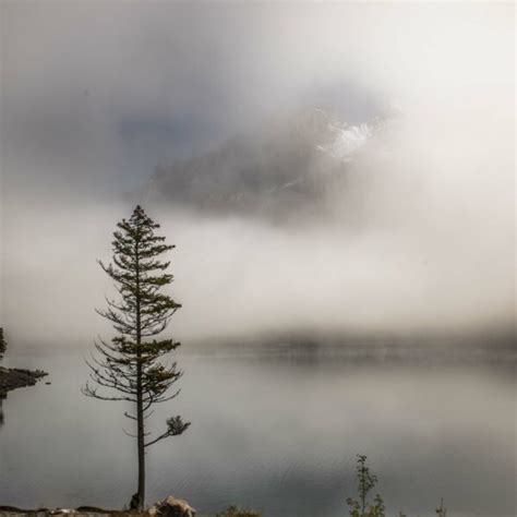 S Jour Photo D Automne Au Lac D Oeschinensee Kandersteg Suisse