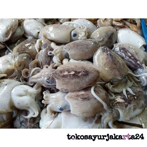 Jual Cumi Sotong Segar Gr Fresh Shopee Indonesia