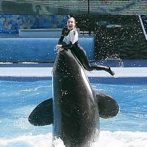 Dawn Brancheau (Senior Animal Trainer) ~ Bio with [ Photos | Videos ]