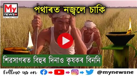 Kati Bihu শিৱসাগৰত বিহুৰ দিনাও কৃষকৰ বিননি কাতি বিহুত পথাৰত নজ্বলে চাকি