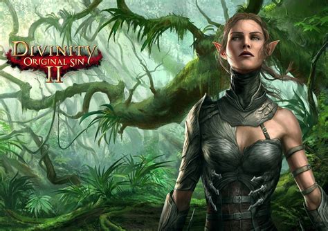 Divinity Original Sin 2 Vg247